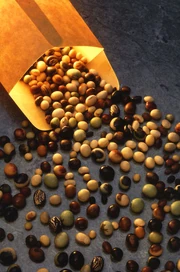soybeans