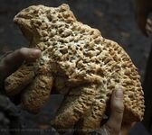 Direwolf Bread Scone (Game of Thrones)