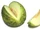 Santa Claus melon