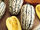 Delicata squash