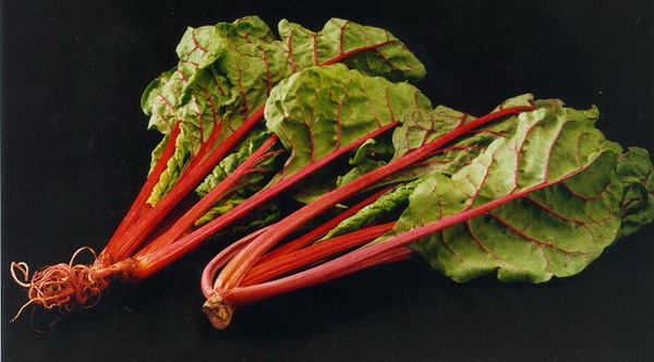 Swiss chard что это. SwissChard. Swiss chard что это фото. Swiss chard что это-SwissChard. картинка Swiss chard что это. картинка SwissChard