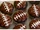 Double Chocolate Football Cupcakes