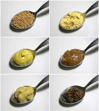 Mustard variations – Mustard seeds (top left), mustard powder (top right), simple table mustard with turmeric coloring (center left), a Bavarian sweet mustard (center right), a Dijon mustard (lower left), and a coarse French mustard made mainly from black mustard seeds (lower right).