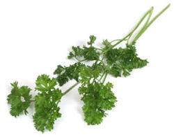 Parsley Japanese Recipes Wiki Fandom