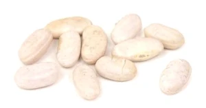 Cannellini Bean