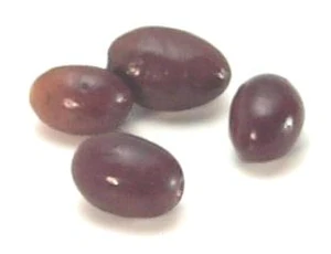 Nicoise olive