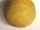 Ambrosia melon