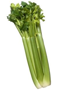 Celery big