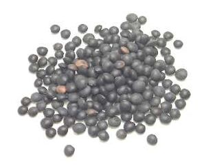 Beluga lentils