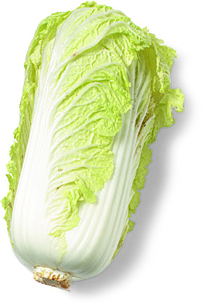 Napa cabbage - Wikipedia