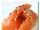Gumleaf-scented Smoked Salmon Bruschetta