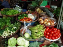 Vietnamese Food