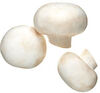 Button mushroom