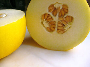 Canary melon