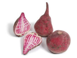 Chiogga beets