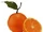 Valencia orange