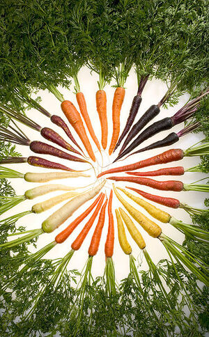 Carrots of all colors