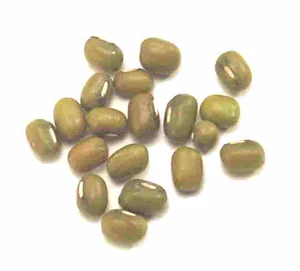 Mung bean