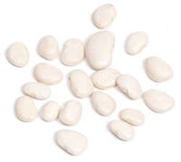 Lima Beans