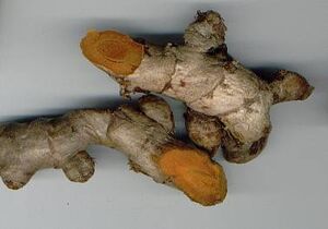 Turmeric