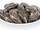 Raw Mussels