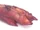 Ukrainian Meat in Aspic Kholodets