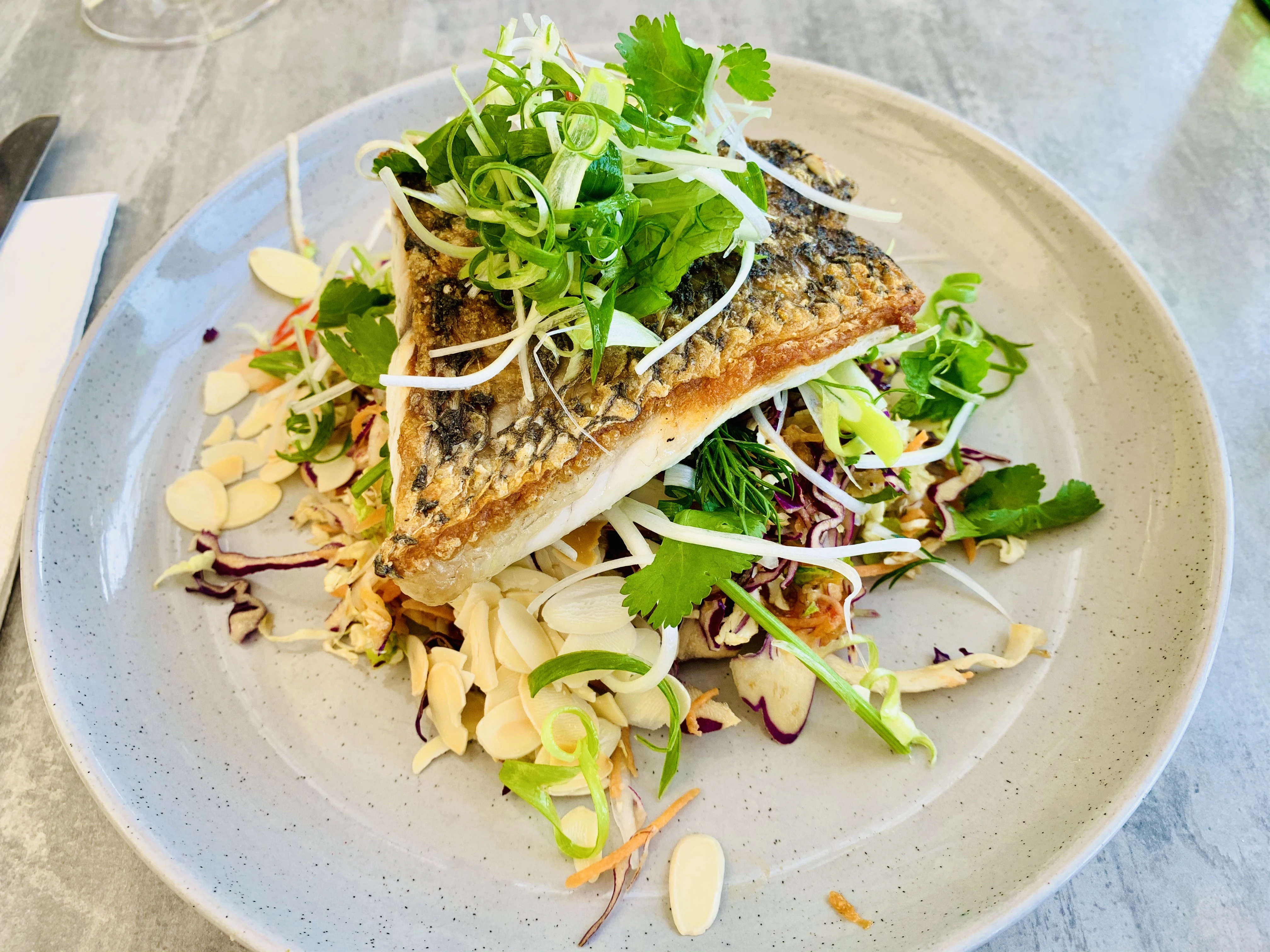 Barramundi Recipe Recipes Wiki Fandom Situe au 3 de la rue taitbout dans le quartier de l'opera, le barramundi est avant tout un espace de detente, intimiste et hedoniste. barramundi recipe recipes wiki fandom