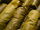 Stuffed+grape+leaves-3823.jpg