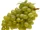 Thompson seedless grape