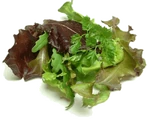 Spring salad mix
