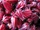 Wild rosella flowers