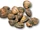 Clams