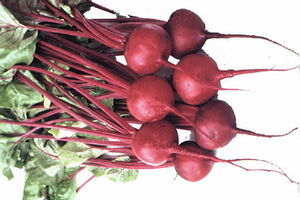 Beets