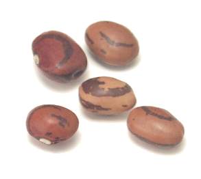 Eye of the goat bean | Recipes Wiki | Fandom