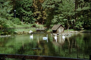 Izvor rijeke Bosne, BIH