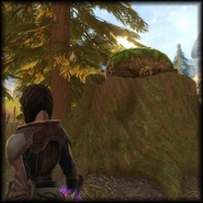 Fs-sq-zs-3.png (1.6 MB) Treasure Chest (The Westroad)