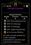 Disciple's Sandals