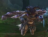 a Sprite Storm Champion