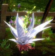 Unharvested Plant