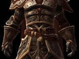 Armor
