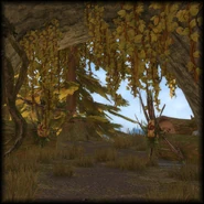 Fs-sq-zs-2.png (1.66 MB) Armor Piece Location (The Westroad)