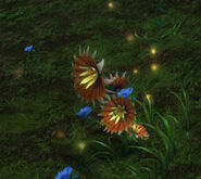 Ysa's Breath.jpg (27 KB) Ysa's Breath Plant