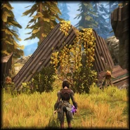 Fs-sq-cl1.png (1.51 MB) Armor Piece Location (Crownhold Lake)