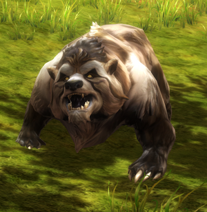 Bear.png