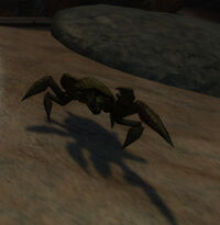 Scuttlecrab