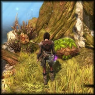 Fs-sq-cl3.png (1.84 MB) Treasure Chest (Crownhold Lake)