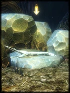 A Withered Branch, Item Location