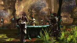Kingdoms of Amalur: Re-Reckoning | Amalur Wiki | Fandom