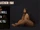 Lizzo - Good as Hell (LQ Audio)
