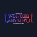 Deedlit in Wonder Labyrinth